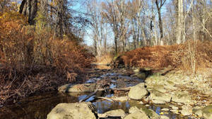 Serene River Flowing Through Nature In New Jersey Wallpaper