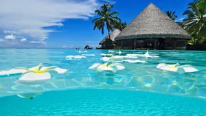 Serene Seascape Of Cancun, Mexico Wallpaper