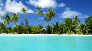 Serene Tropical Beach Escape Wallpaper