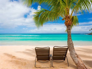 Serene View Beach Vacation Wallpaper