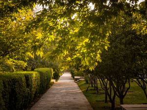 Serene View Of Bagh-e Babur In Kabul Wallpaper