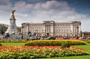 Serene View Of Buckingham Palace With A Blooming Garden. Wallpaper