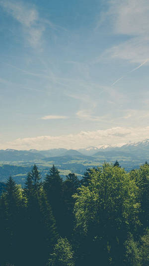 Serene View Of Treetops In A Natural Landscape. Wallpaper