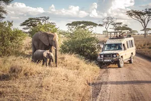 Serengeti National Park Safari Vehicle Close To Elephants Wallpaper