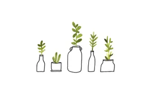Serenity In Green - An Aesthetic Cute Plant Wallpaper