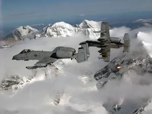 Serving With Honor Wallpaper