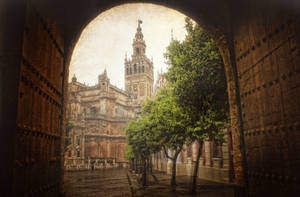 Seville City Tunnel Wallpaper