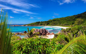 Seychelles Anse Cocos Wallpaper