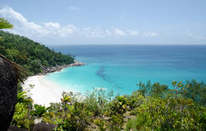 Seychelles Anse Georgette Wallpaper