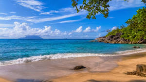 Seychelles Anse Major Shore Wallpaper