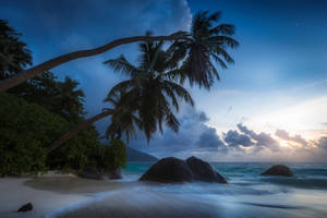 Seychelles Cloudy Beach Wallpaper