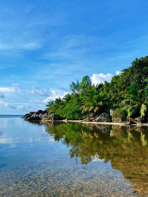 Seychelles Island Reflections Wallpaper