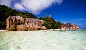 Seychelles Praslin Shoreline Wallpaper