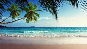 Seychelles Seaside View Wallpaper