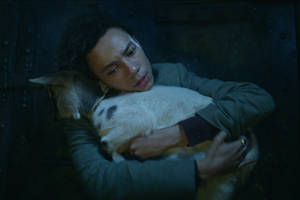 Shadow And Bone Jesper Hugging Goat Wallpaper