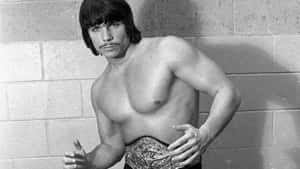 Shadow On Wall Lanny Poffo Wallpaper