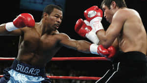 Shane Mosley Strong Left Hook Wallpaper