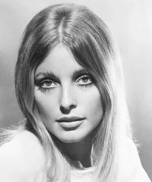 Sharon Tate Big Doe Eyes Wallpaper