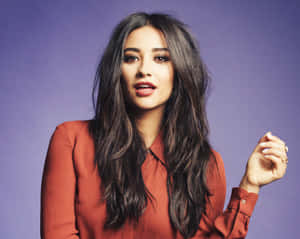 Shay Mitchell Elegant Portrait Wallpaper