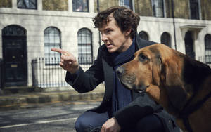Sherlock With Dog Wallpaper