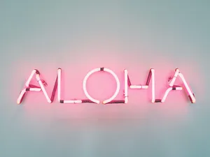 Shine Brightly In The Digital World Wallpaper