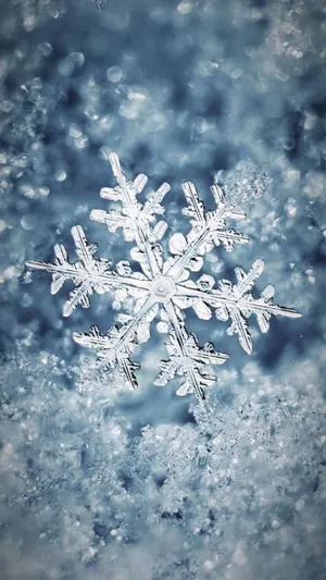 Shine With Silver And Make A Style Statement With This Aesthetic Iphone Wallpaper Wallpaper