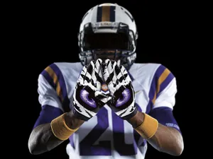 Shining Bright - The Lsu Tigers Wallpaper