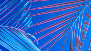 Shiny Blue Things Illuminated On Dark Background Wallpaper