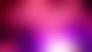 Shiny, Bright, And Pink Wallpaper