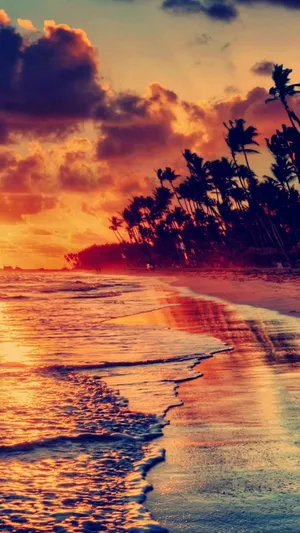Shoreline For Sunset Iphone Display Wallpaper