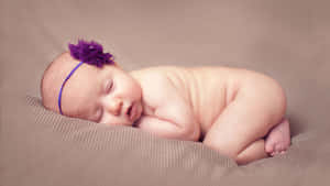 Show The Love And Share The Cuteness! Wallpaper