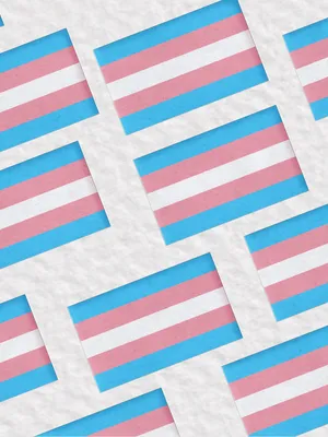 Show Your Pride And Support To The Transgender Community With The Trans Flag. Wallpaper