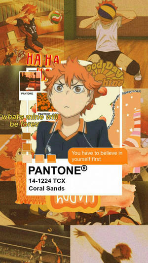 Shoyo Hinata Pantone Coral Sands Wallpaper