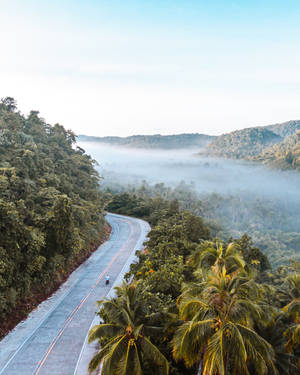 Siargao Island Foggy Mountain Road Wallpaper