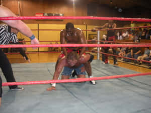Sid Vicious Fighting In The Ring With Opponent Wallpaper