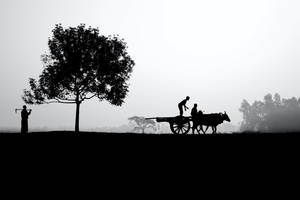 Silhouette Farm Life Wallpaper