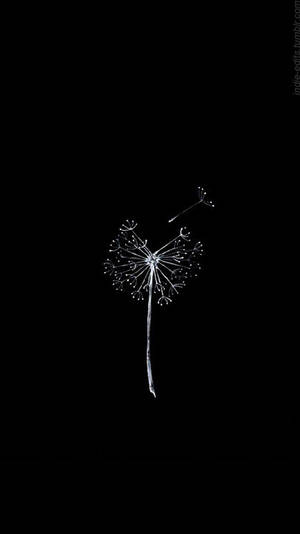 Simple Black Dandelion Blowing Away Wallpaper