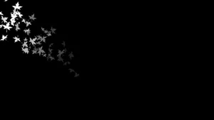 Simple Black White Autumn Leaves Wallpaper