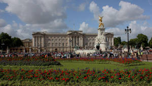 Simple Buckingham Palace Garden Wallpaper