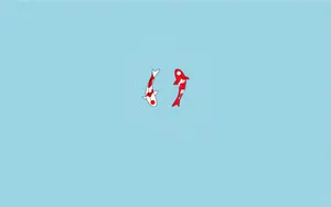 Simple Clean Koi Fishes Wallpaper