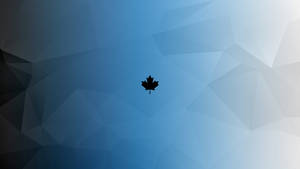 Simple Clean Maple Leaf Wallpaper