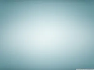 Simple & Elegant Light Gray Wallpaper Wallpaper