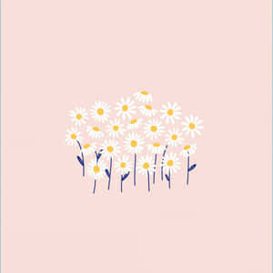 Simple Pink Daisy Aesthetic Computer Wallpaper