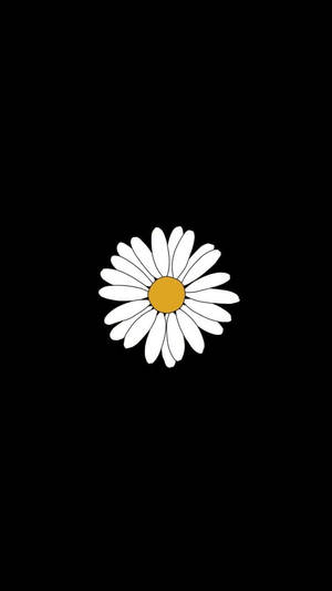 Simple White Daisy Aesthetic Black Wallpaper