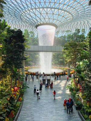 Singapore Jewel Changi Airport Wallpaper