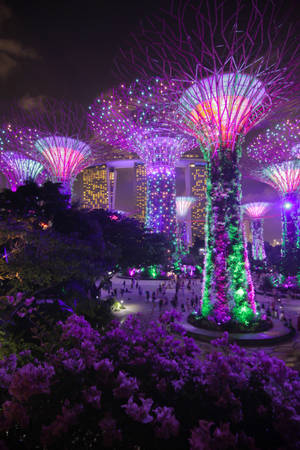 Singapore Purple Supertrees Wallpaper