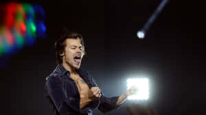 Singer Harry Styles Browsing His Laptop Wallpaper