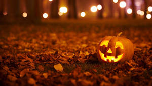 Single Carved Pumpkin Halloween Computer Wallpaper