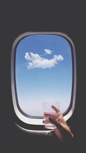 Single On A Flight Wallpaper