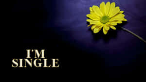 Single Status Yellow Flower Dark Background Wallpaper